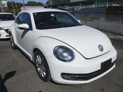 Volkswagen THE BEETLE