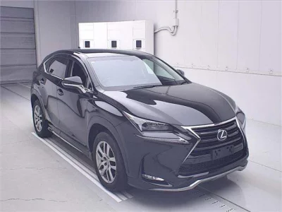 Lexus NX  с аукциона в Японии