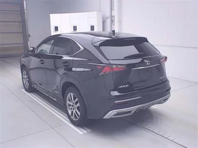 Lexus NX  с аукциона в Японии