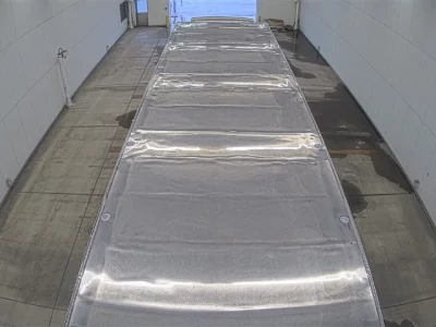 Hino PROFIA  с аукциона в Японии