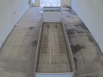 Hino PROFIA  с аукциона в Японии