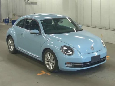 Volkswagen THE BEETLE