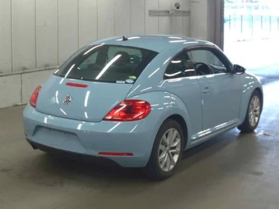 Volkswagen THE BEETLE