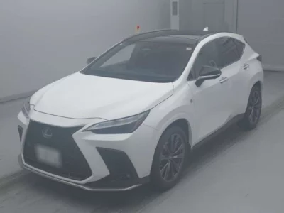 Lexus NX  с аукциона в Японии
