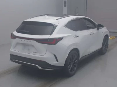 Lexus NX  с аукциона в Японии