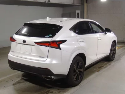 Lexus NX  с аукциона в Японии