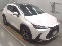 Lexus NX лот № 30252 оценка 4.5  с аукциона в Японии 4