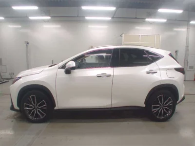 Lexus NX  с аукциона в Японии
