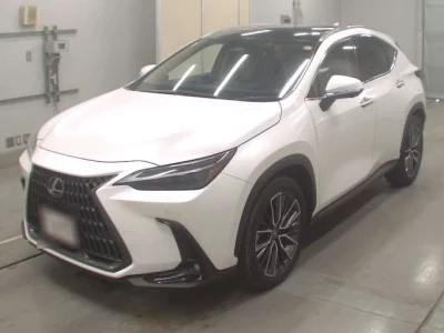 Lexus NX  с аукциона в Японии