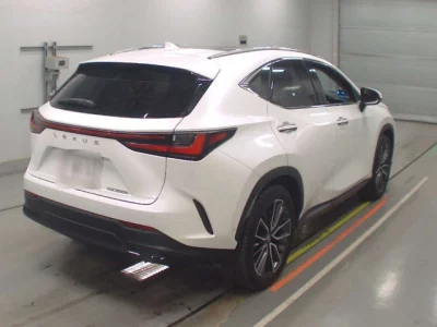 Lexus NX  с аукциона в Японии