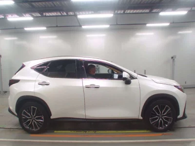 Lexus NX  с аукциона в Японии