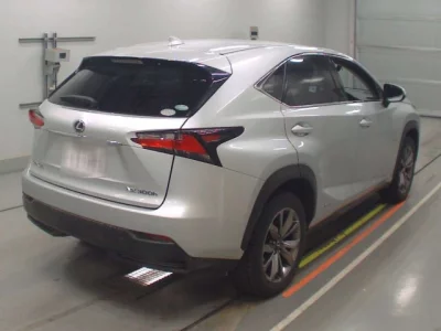 Lexus NX  с аукциона в Японии