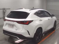 Lexus NX лот № 36004 оценка 5  с аукциона в Японии 1