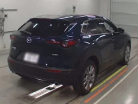 Mazda CX-30 лот № 30362 оценка 4.5  с аукциона в Японии 1