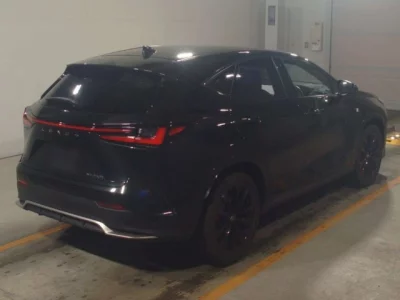 Lexus NX  с аукциона в Японии