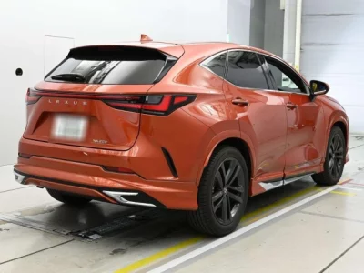 Lexus NX  с аукциона в Японии