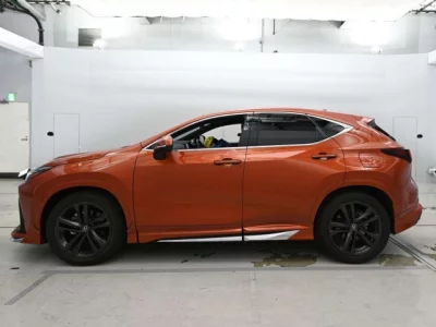 Lexus NX  с аукциона в Японии
