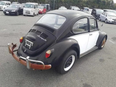 Volkswagen BEETLE