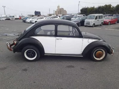 Volkswagen BEETLE
