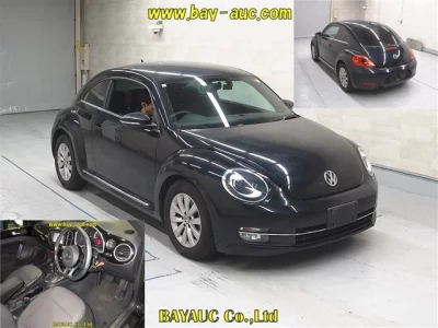 Volkswagen THE BEETLE