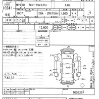 Toyota COROLLA RUMION лот № 10241 оценка 3  с аукциона в Японии 10