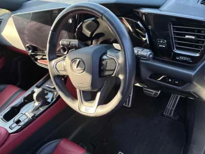 Lexus NX  с аукциона в Японии