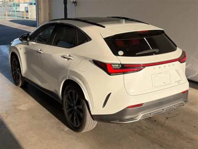 Lexus NX  с аукциона в Японии