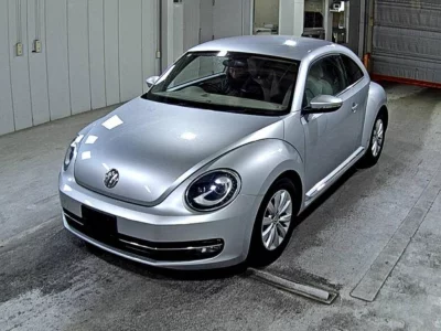 Volkswagen THE BEETLE
