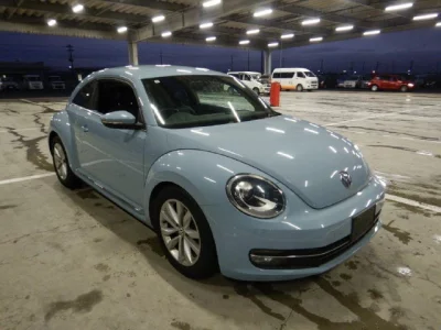 Volkswagen THE BEETLE