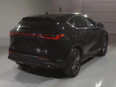 Lexus NX  с аукциона в Японии