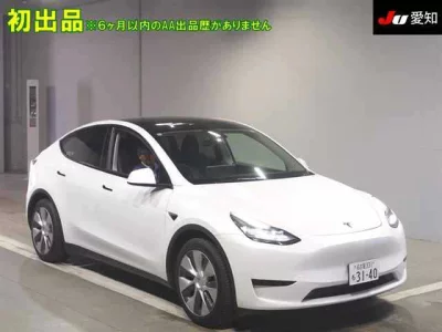 Tesla MODELY