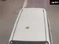 Toyota SUCCEED лот № 20051 оценка 3.5  с аукциона в Японии 8