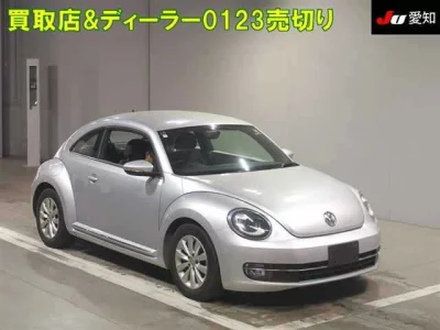 Volkswagen THE BEETLE