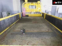 Hino DUTRO лот № 8083 оценка 3  с аукциона в Японии 3