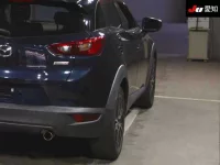 Mazda CX-3 лот № 31000 оценка 3.5  с аукциона в Японии 7