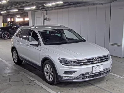 Volkswagen TIGUAN  с аукциона в Японии