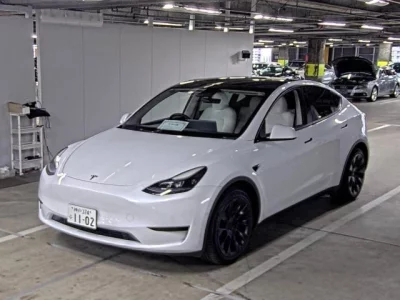 Tesla MODELY