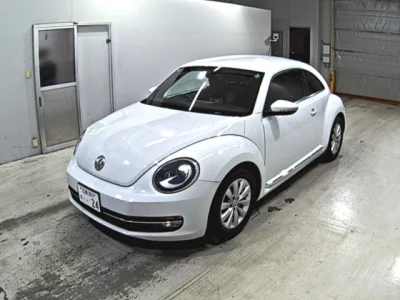Volkswagen THE BEETLE