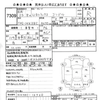 Nissan CONDOR лот № 7309 оценка R  с аукциона в Японии 11