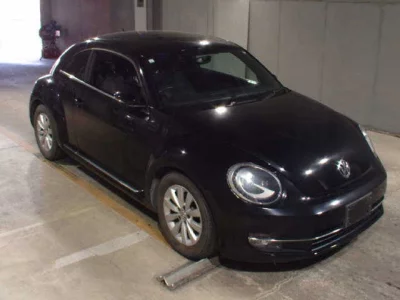 Volkswagen THE BEETLE