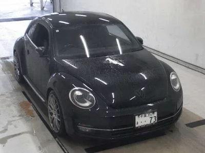 Volkswagen THE BEETLE