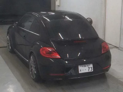 Volkswagen THE BEETLE