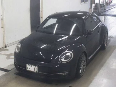 Volkswagen THE BEETLE