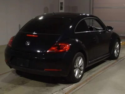 Volkswagen THE BEETLE