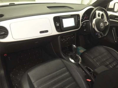 Volkswagen THE BEETLE