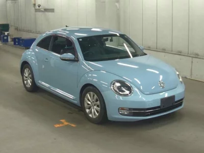 Volkswagen THE BEETLE