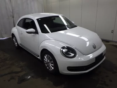 Volkswagen THE BEETLE