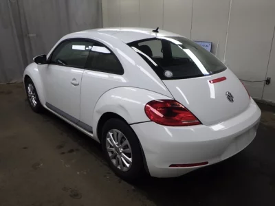 Volkswagen THE BEETLE