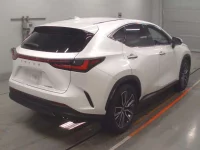 Lexus NX лот № 90106 оценка 5  с аукциона в Японии 1