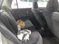 Nissan TIIDA LATIO лот № 50112 оценка R  с аукциона в Японии 9